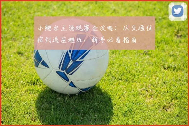 小鲍尔主场观赛全攻略：从交通住宿到选座避坑，新手必看指南
