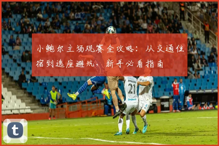 小鲍尔主场观赛全攻略：从交通住宿到选座避坑，新手必看指南