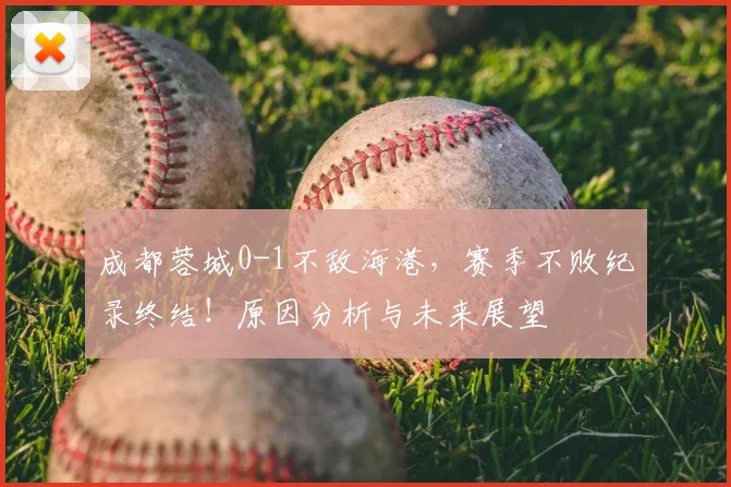 成都蓉城0-1不敌海港，赛季不败纪录终结！原因分析与未来展望