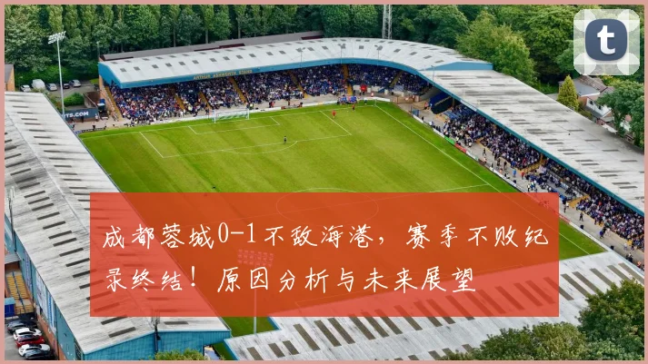 成都蓉城0-1不敌海港,赛季不败纪录终结!原因分析与未来展望