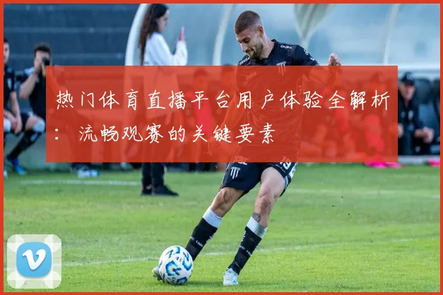 热门体育直播平台用户体验全解析:流畅观赛的关键要素